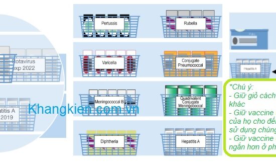 cach sap xep vaccine trong tu